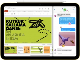 iPad 11" (A16) Wi-Fi + Cellular - 2